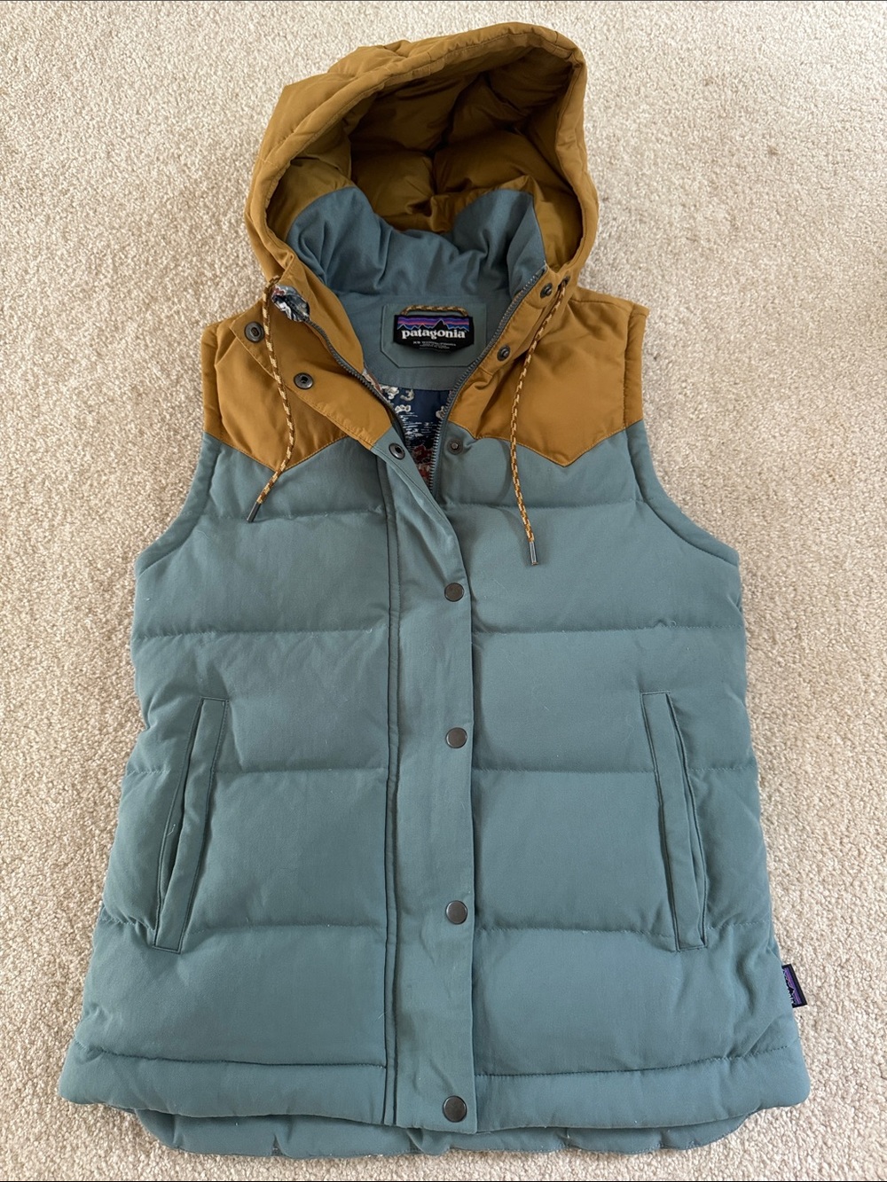 Patagonia Women’s Worn-Wear W’s Bivy Hooded Vest